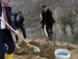 Gümüşhane’de Ceviz Seferberliği Devam Ediyor