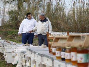Antalyalı Bal Üreticisi Akademisyenden Karatay’a Cevap