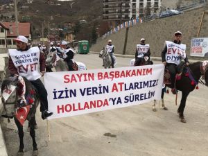Başbakan Yıldırım’a Gümüşhane’de Atlı Karşılama