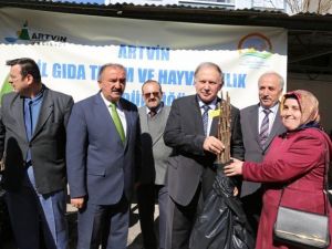 Artvin’de Vatandaşlara 12 Bin Adet Ağaç Fidanı Dağıtıldı