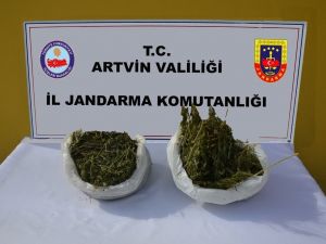 Artvin’de Jandarmadan Uyuşturucu Operasyonu