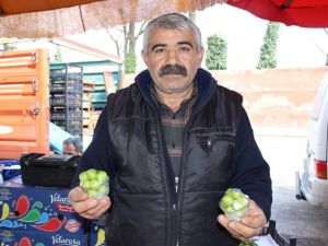 Erik Tezgahta: Kilosu 400 Lira