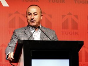 "Ab İle İlgilisi Olmayan Ülkelere Serbest Vize Sağladılar"