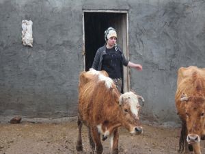 Tarlada Çalışıp Hayvan Otlatarak Roman Yazdı