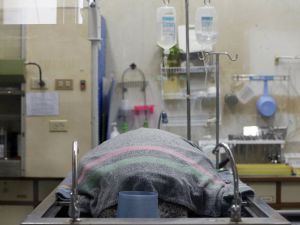 5 Kilogram Bozuk Para Yutan Kaplumbağaya Operasyon