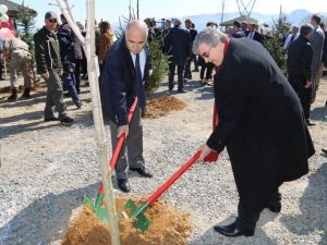 Giresun’da Orman Haftası Etkinlikleri