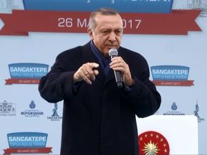 "Papa Ne Zamandan Beri Ab Üyesi?"