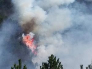 Kastamonu’da Orman Yangınları
