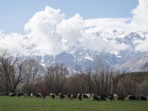 Bahar Ve Kış Bir Arada