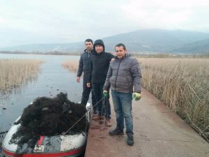 Sapanca Gölü’nde Korkunç Manzara