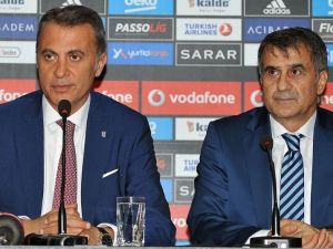Fransa’dan Skandal Karar: Orman Ve Güneş’e İzin Yok