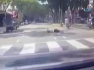 Trafik Canavarı Can Aldı