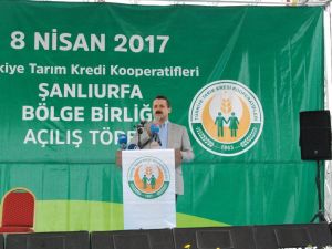 Bakan Çelik’ten Çiftçilere Müjde