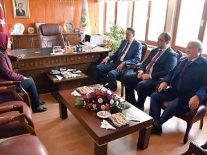 Ak Parti Trabzon Milletvekili Ayşe Sula Köseoğlu,