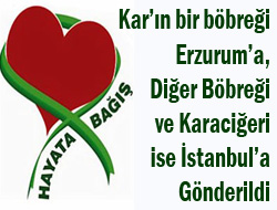 Organları 3 Kişiye Hayat Verecek