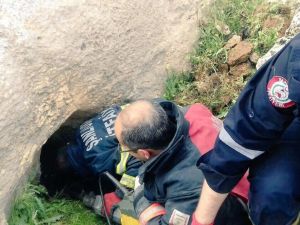Kayanın Altına Sıkışan Kaplumbağa İçin Seferber Oldular