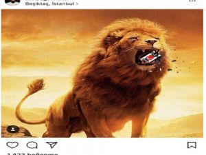 Beşiktaşlıları Kızdıran Paylaşım