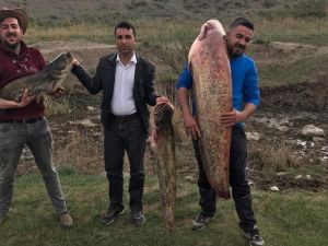Boyundan Büyük Balık Yakaladı