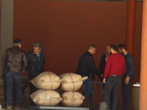 Toprak Mahsulleri Ofisi Giresun’da Fındık Alımına Başladı