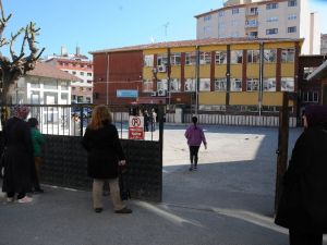 Teog Maratonu Başladı