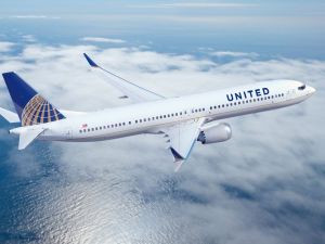 United Airlines’ta Bu Kez De Tavşan Krizi Yaşanıyor