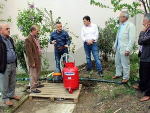 Susuzluk, Fındıkta Stres Yapıyor