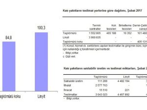 En Fazla Üretim Ve Teslimat Linyitte Gerçekleşti