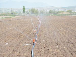 Şeker Pancarı Ekim Sezonu Başladı