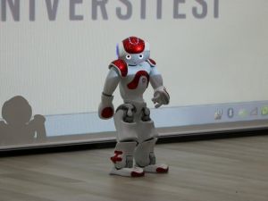 Fıkra Anlatan Ve Horon Tepen Robot