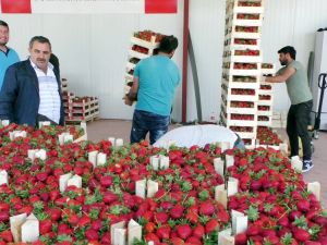 Rusya İle Kriz Aşıldı: Yüzler Gülüyor