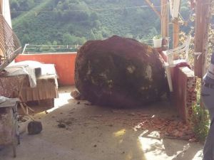 Giresun’da Akılalmaz Olay