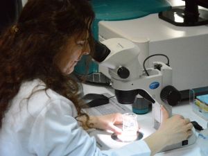 Türkiye İlk Kanser İlacına Kavuşuyor