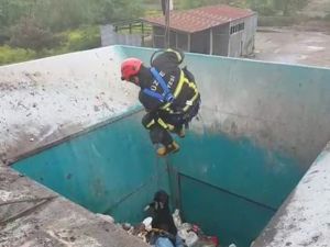 Çöpe Düşen Köpeği İtfaiye Kurtardı