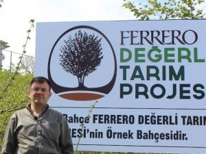 Yeşil Kokarca Fındıkta Randımanı Ve Kaliteyi Düşürüyor