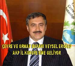 Devlet Bakanı Pazar günü Rize'de