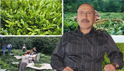 Bayramoğlu 'ndan Açıklamalar