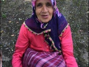 Eşinin Kestiği Ağacın Altında Kalan Kadın Hayatını Kaybetti