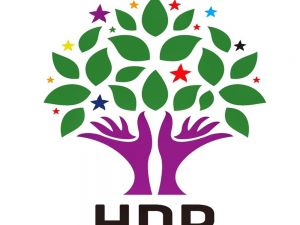 Hdp Eş Genel Başkanını Seçti