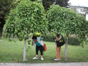 Yaşlanmayı Geciktiriyor
