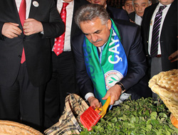 Bakan Yazıcı Çay Sezonunu Erken Açtı