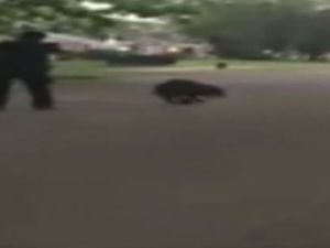 Abd’de Polis Köpeği Böyle Vurdu