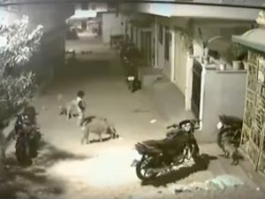 5 Yaşındaki ’Cesur Yürek’