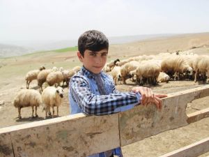 Hayvan Otlatırken Test Çözdü, 2. Oldu