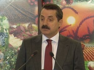 Bakan Çelik’ten ’Zeytinlik’ Açıklaması