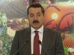 Zeytinlik Alanlara Yatırım Yapılmayacak