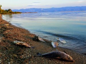 İznik Gölü’nde Korkutan Manzara