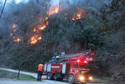 Rize'de Arazi Yangını