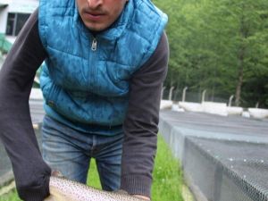 Türkiye’nin Derelerinin Alabalığı Trabzon’dan