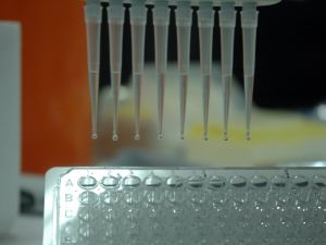 Hedef Kanser Tedavisinde Milli İlaç