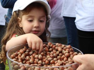Minik Öğrencilere ‘Fındık’ Anlatıldı